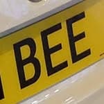 Bee+'s profile picture