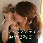 みやこねこ's profile picture