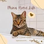 Phina 有貓的居家設計生活's profile picture