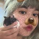 弓長張的張's profile picture