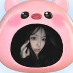 momo's profile picture