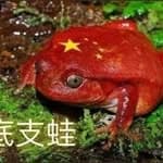 中共粉紅蛙獵人's profile picture