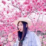 安安✨ 高雄美食｜親子育兒 ｜ 買地找安安｜露營｜旅遊's profile picture