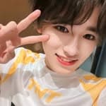 春悸颂曲's profile picture