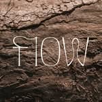 Flow & Gallery's profile picture