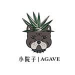 小院子多肉Agave🇹🇼's profile picture