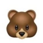 🐻's profile picture