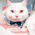 貓愛貓殿堂💞Cats love cats palace.'s profile picture