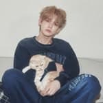 貓貓🐱's profile picture