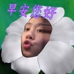 胡嘉容's profile picture