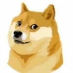 Doge(狗哥)'s profile picture