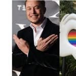 Elon musk's profile picture