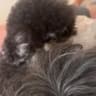 profile