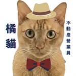 阿橘來了｜橘貓不動產營業員｜買屋賣屋找阿橘's profile picture