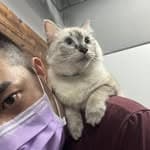 林奇錦's profile picture