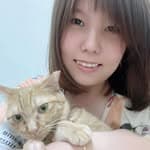 Cindy Cai's profile picture