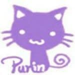 Purinpin Tsai's profile picture