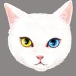 ねこ ひめ's profile picture