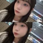 牛奈糖's profile picture