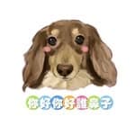 你好你好誰鼻子～犬 少女's profile picture