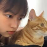 梁小心's profile picture