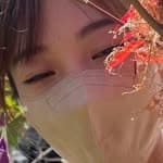 林佑's profile picture