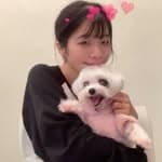 曾珮芹's profile picture