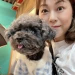 Elsa Feng's profile picture