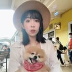 雅雅's profile picture