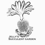 香港本地實生多肉塊根植物🇭🇰啫喱的多肉花園｜Jelly's Succulent Garden 🌱Jerry🤔's profile picture