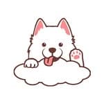 微笑白雲☁️ SmileyClouds｜🈲️帶寵物's profile picture