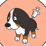 Kaia 卡亞 | Bernese Mountain Dog's profile picture