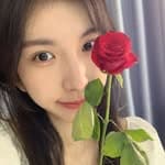 吳若湄's profile picture