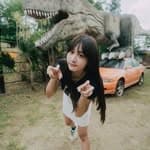 采采🐯YT迷路麋鹿's profile picture