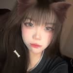 小歪碎光光߹ ߹'s profile picture