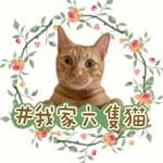 🐱六隻貓與小梅子一起長大的日子's profile picture