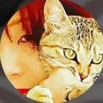 れなさん🌹(むくママ🐱)'s profile picture