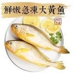 黃金魚's profile picture