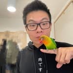 Pascal Liao's profile picture