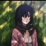 Mikasa Ackerman's profile picture