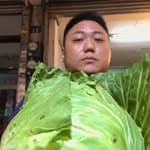 Joe Liu's profile picture