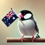 May🇦🇺最高のワーホリライフ's profile picture