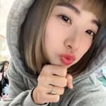 鍋燒麵's profile picture