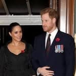 SussexStan's profile picture