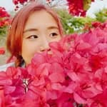 Layla 菈 🌷's profile picture