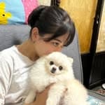 柴田狗東西's profile picture