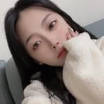 吖芯🧸's profile picture