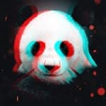 Panda Chen's profile picture