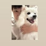 Patrick Chen ʕ•ᴥ•ʔ's profile picture