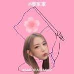 高宇彤's profile picture